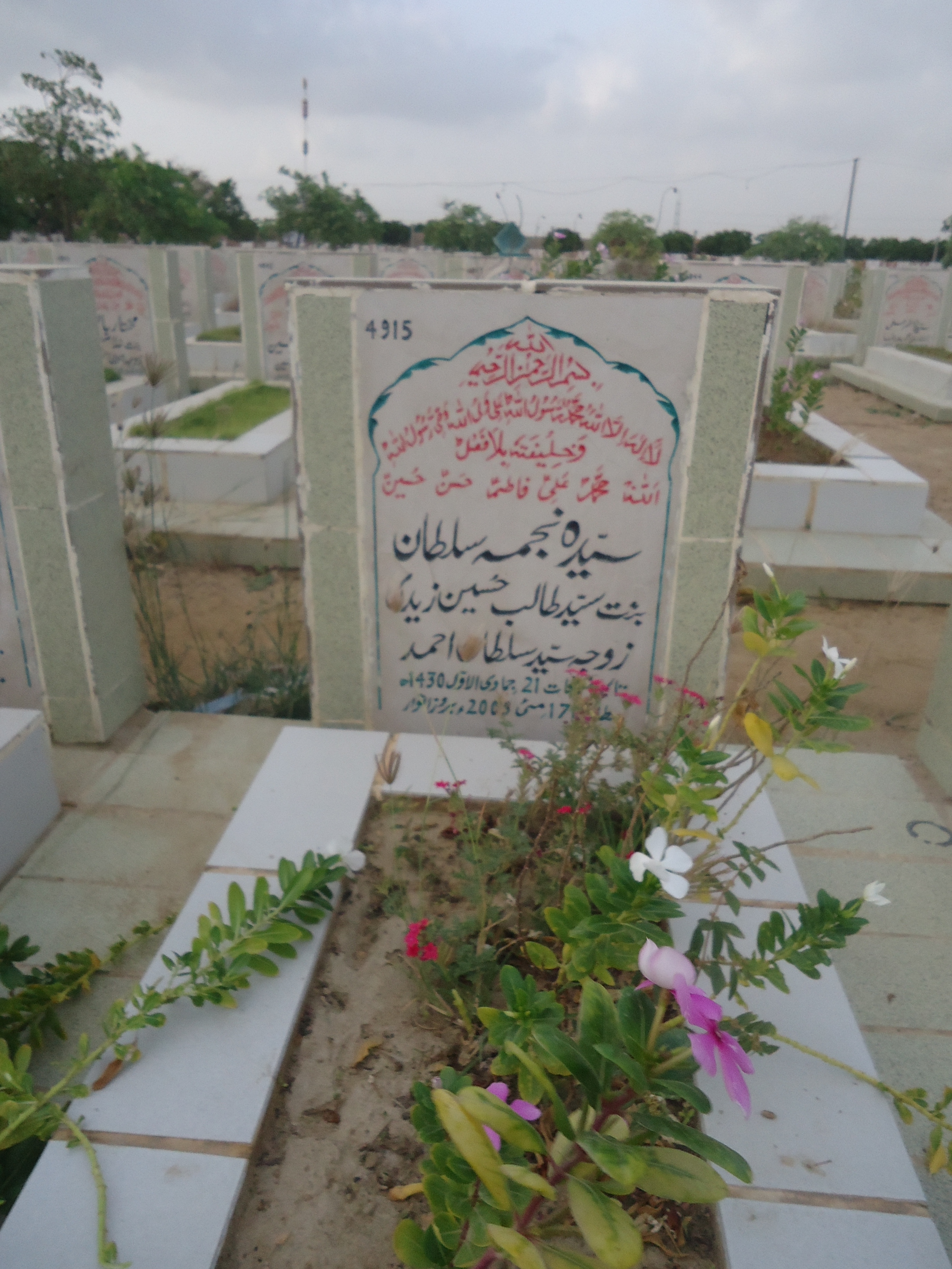 4915 – syeda najma sultan